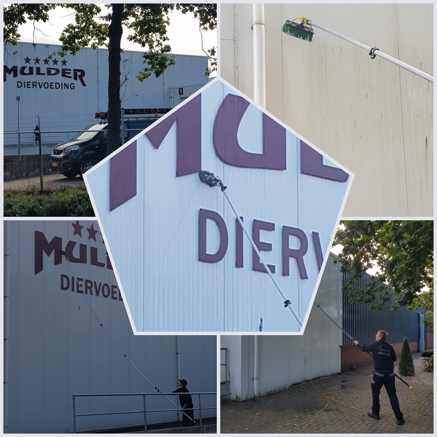 Mulder diervoeding